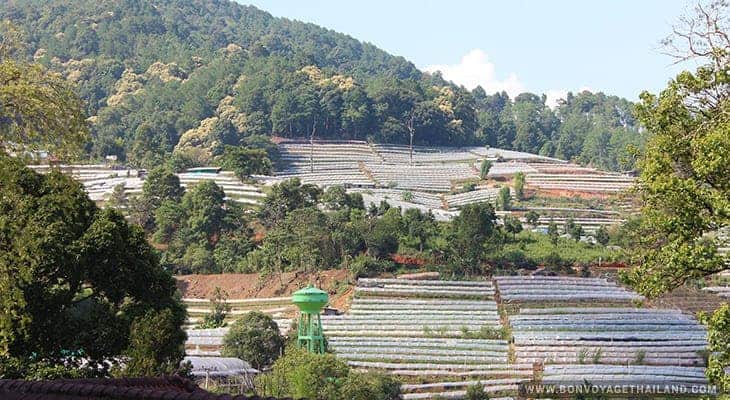 doi inthanon national park royal agricultural station