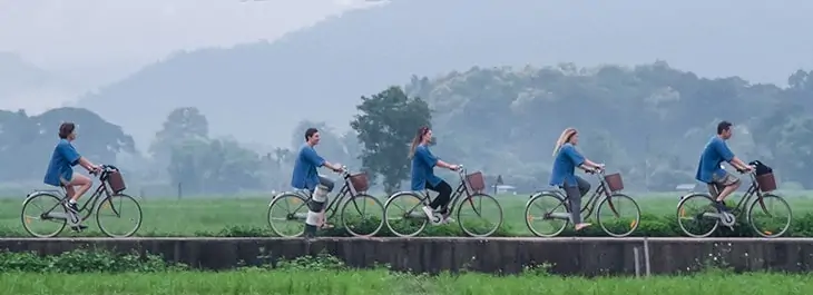 group of people cycling along rice paddy in the country