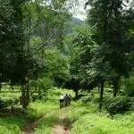 cycling through jungle at lisu lodge