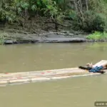 young man and woman bamboo rafting along local river