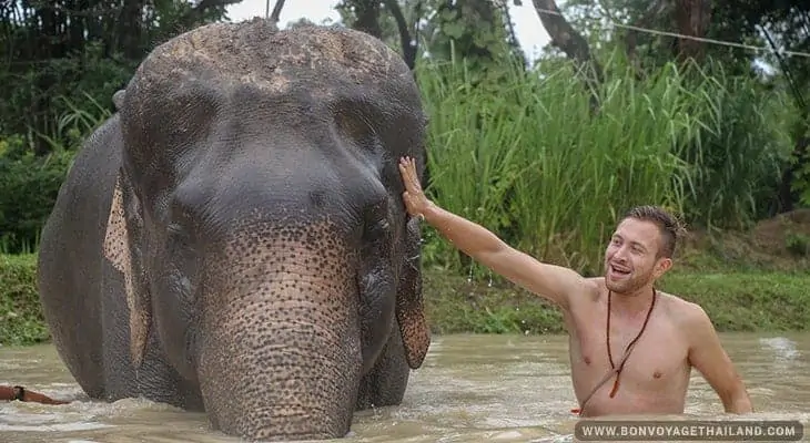 young man giving elephant a bath in river