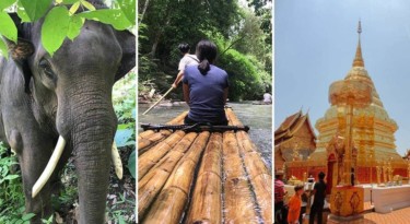 Doi Suthep Temple + Bamboo Rafting + Elephant Sanctuary