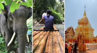 Doi Suthep Temple + Bamboo Rafting + Elephant Sanctuary