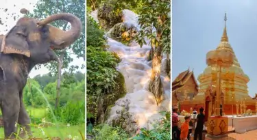 Doi Suthep Temple + Sticky Waterfall + Elephant Sanctuary
