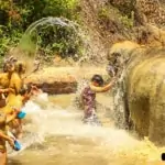 group of young people giving elephant a bath in river