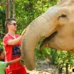 kids bonding with an elephant covered in mud