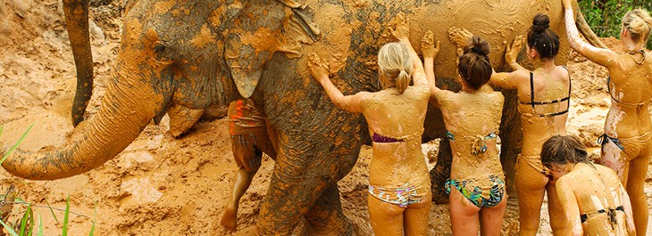 group of young people giving elephant mud spa