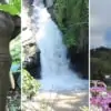 Elephant Sanctuary + Mae Wang Waterfall + Doi Inthanon National Park
