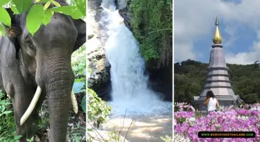 Elephant Sanctuary + Mae Wang Waterfall + Doi Inthanon National Park