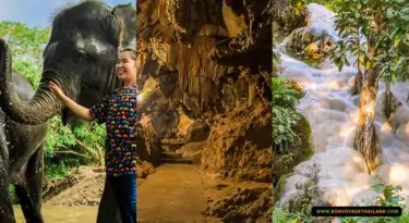 Chiang Mai Kanta Elephant Sanctuary, Chiang Dao Cave, Sticky Waterfalls Pickup and drop-off at your hotel or guesthouse English-speaking tour guide Private Tour ฿4,800 /adult ItineraryWhat we'll doPricesThis Tour Includes