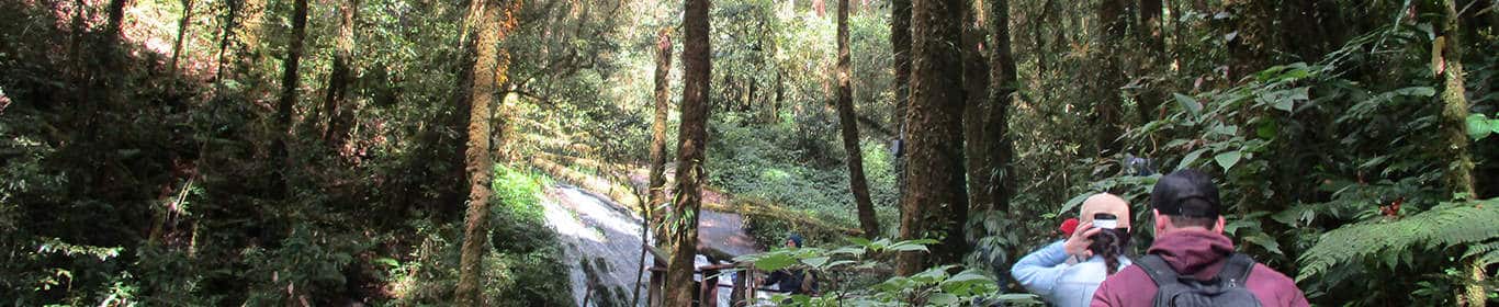 Chiang Mai Trekking