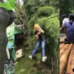 Elephant Sanctuary + Zipline + Bamboo Rafting