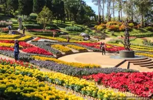 Doi Tung Palace Garden