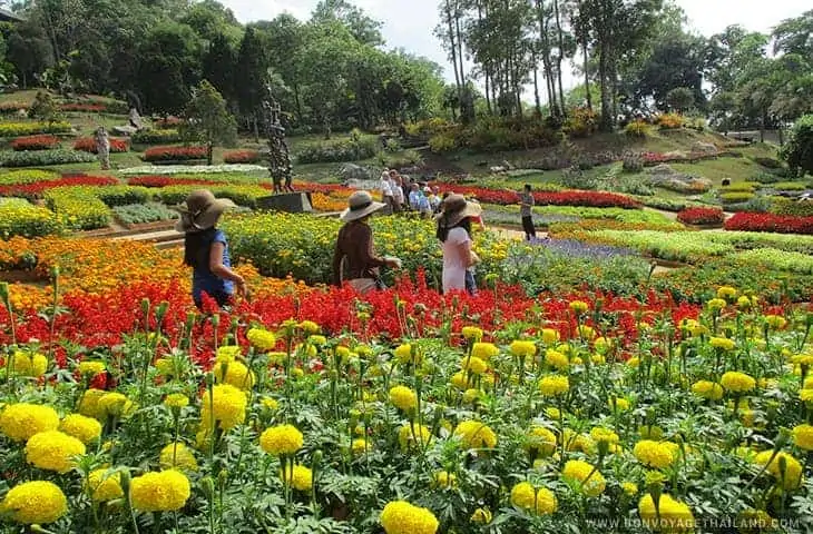 Doi Tung Palace