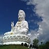 Wat Huay Pla Kang Chiang Rai