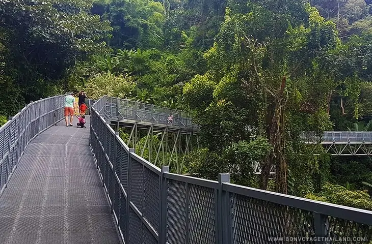 Queen Sirikit Botanical Canopy