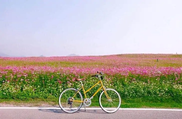 Vélo au Singha Parc