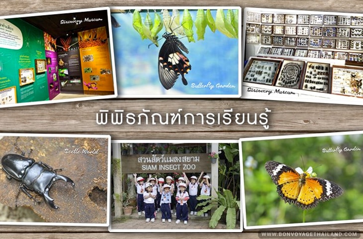 Siam Insect Zoo