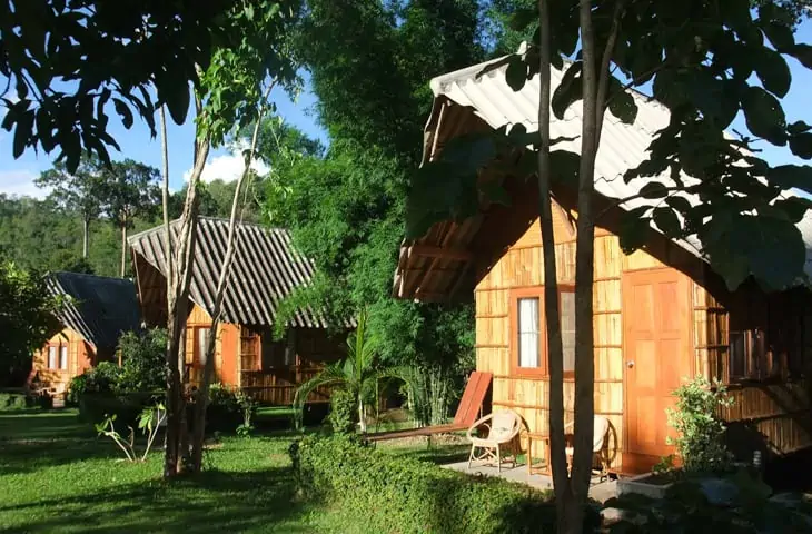 Chiang Dao Nest 1