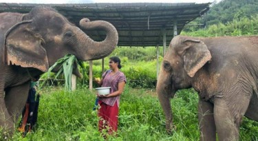 Happy Elephant Home - Preparing Food