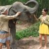 Elephant Wildlife Sanctuary Phuket Half-Day Care