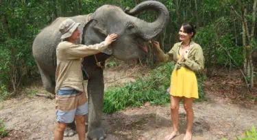 Elephant Wildlife Sanctuary Phuket Half-Day Care