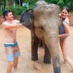 Elephant Wildlife Sanctuary Phuket Half-Day Care