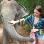 Elephant Wildlife Sanctuary Phuket Half-Day Care