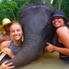 Elephant Wildlife Sanctuary Phuket - Save & Care