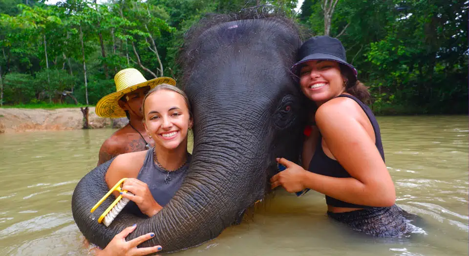 Elephant Wildlife Sanctuary Phuket - Save & Care