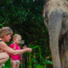 Green Elephant Sanctuary Park