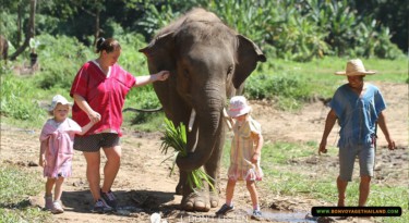 Patara Baby Elephant