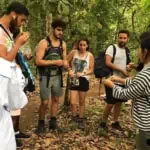 Trekking Doi Inthanon and Elephant Sanctuary