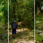 Chiang Dao Trekking Route 1