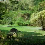 Chiang Dao Trekking Route 1