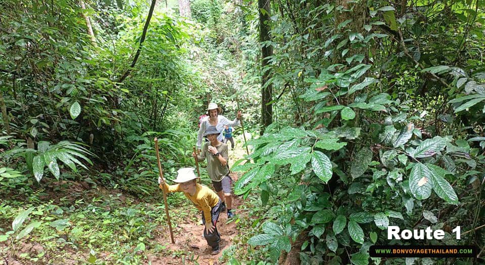 Chiang Dao Trekking Route 1