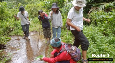 Chiang Dao Trekking Route 1