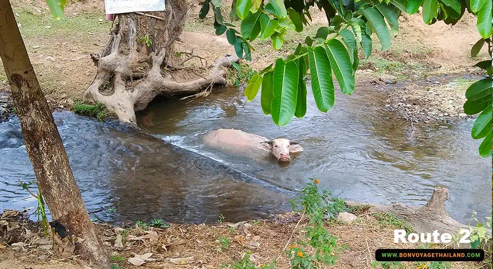 Chiang Dao Trekking Route 2