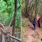 chiang-dao-trekking-route-2-7