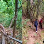 Chiang Dao Trekking Route 2