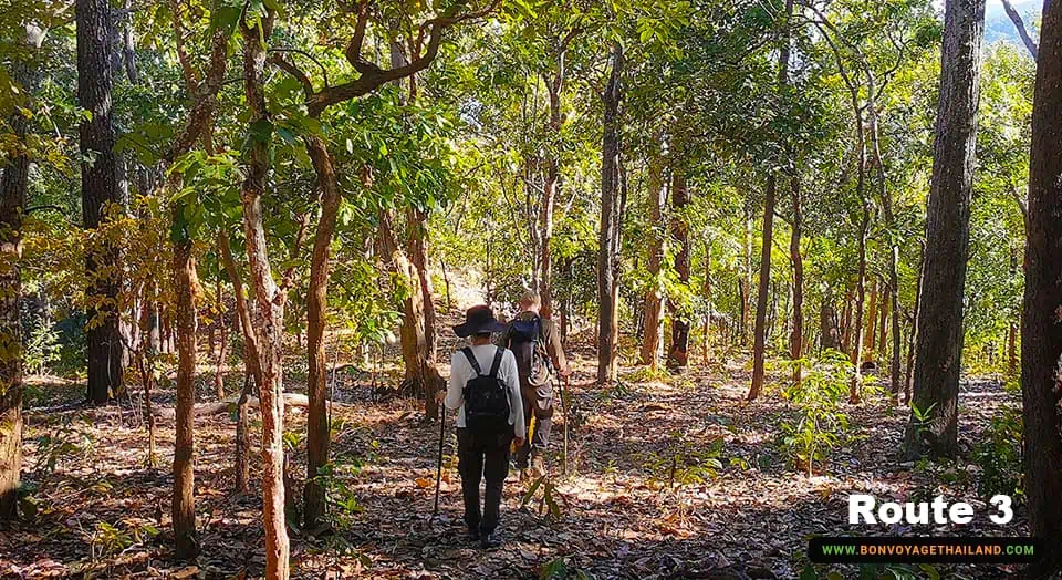 Chiang Dao Trekking Route 3