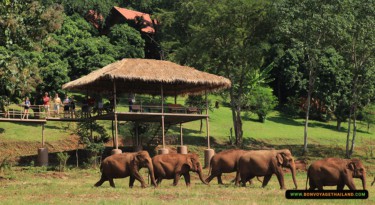 Elephant Nature Park SkyWalk