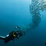 Similan Islands 2-Day 1-Night Liveaboard