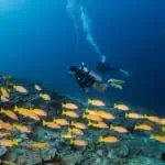 Similan Islands 2-Day 1-Night Liveaboard